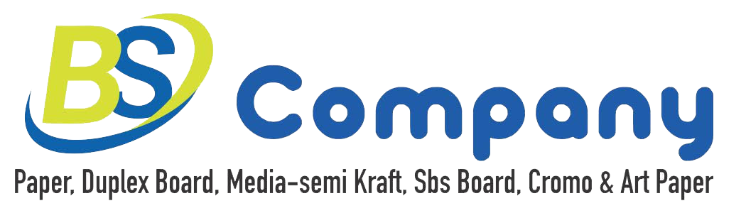 bs company logo